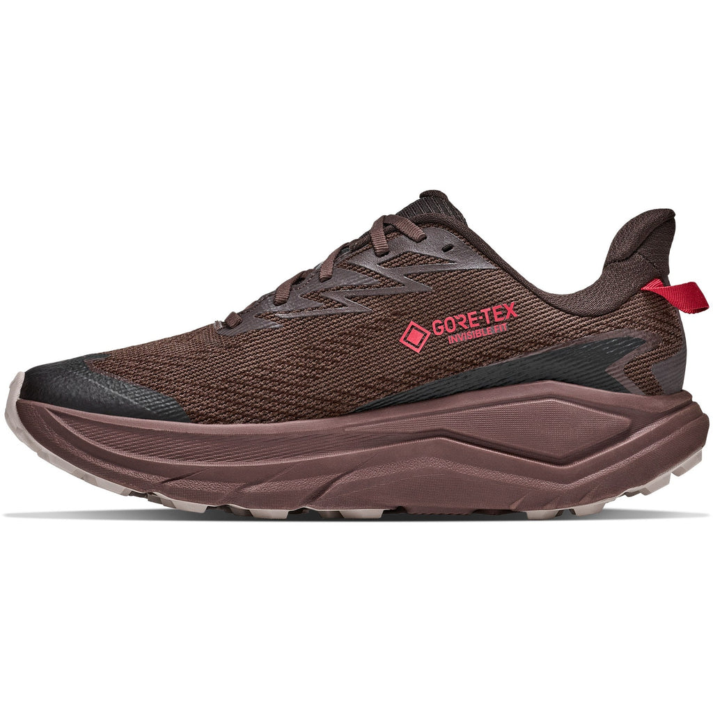 Men's Challenger 8 GTX Trail-Running Shoes - Spiced Chocolate/Cast Iron - view 2