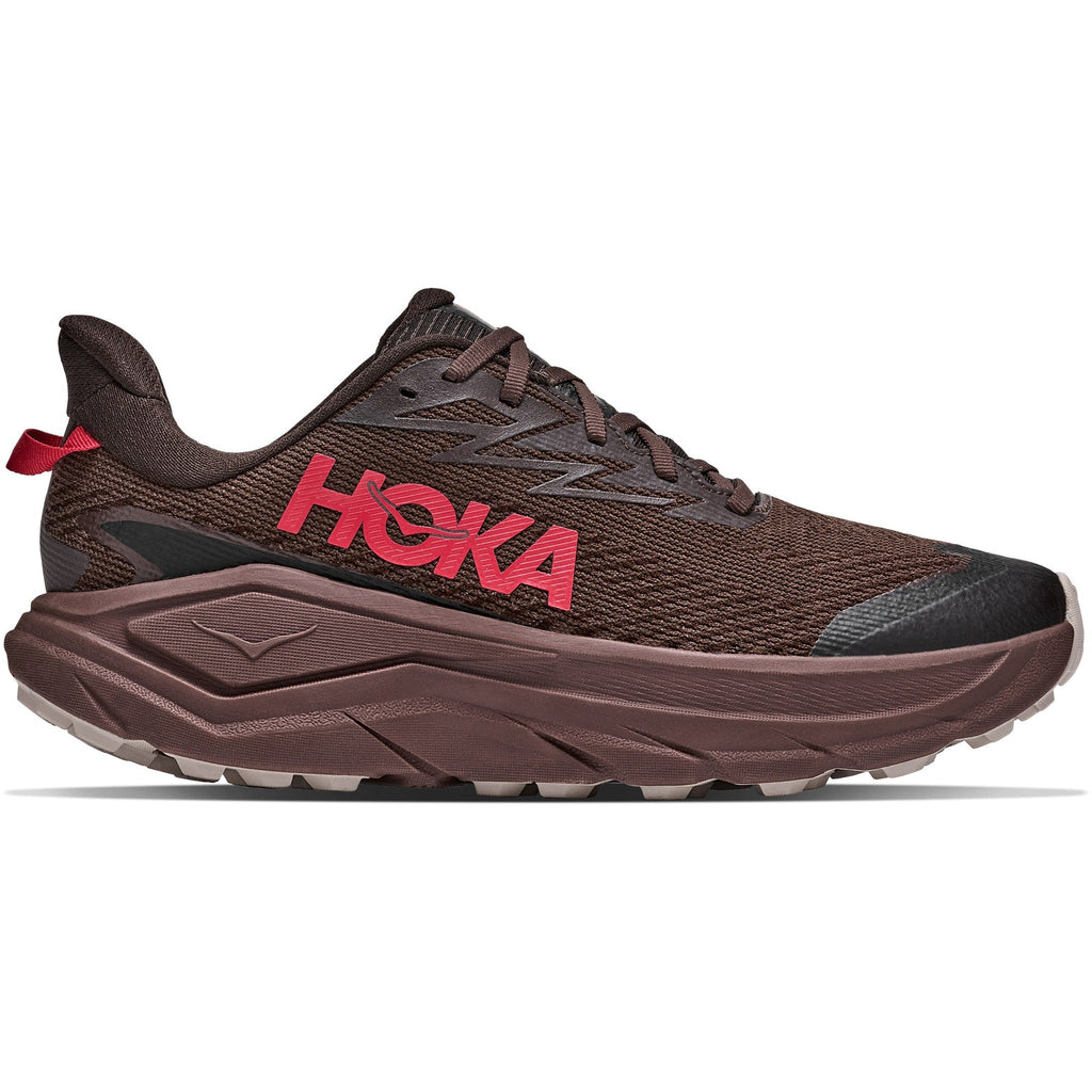 Men's Challenger 8 GTX Trail-Running Shoes - Spiced Chocolate/Cast Iron - view 1
