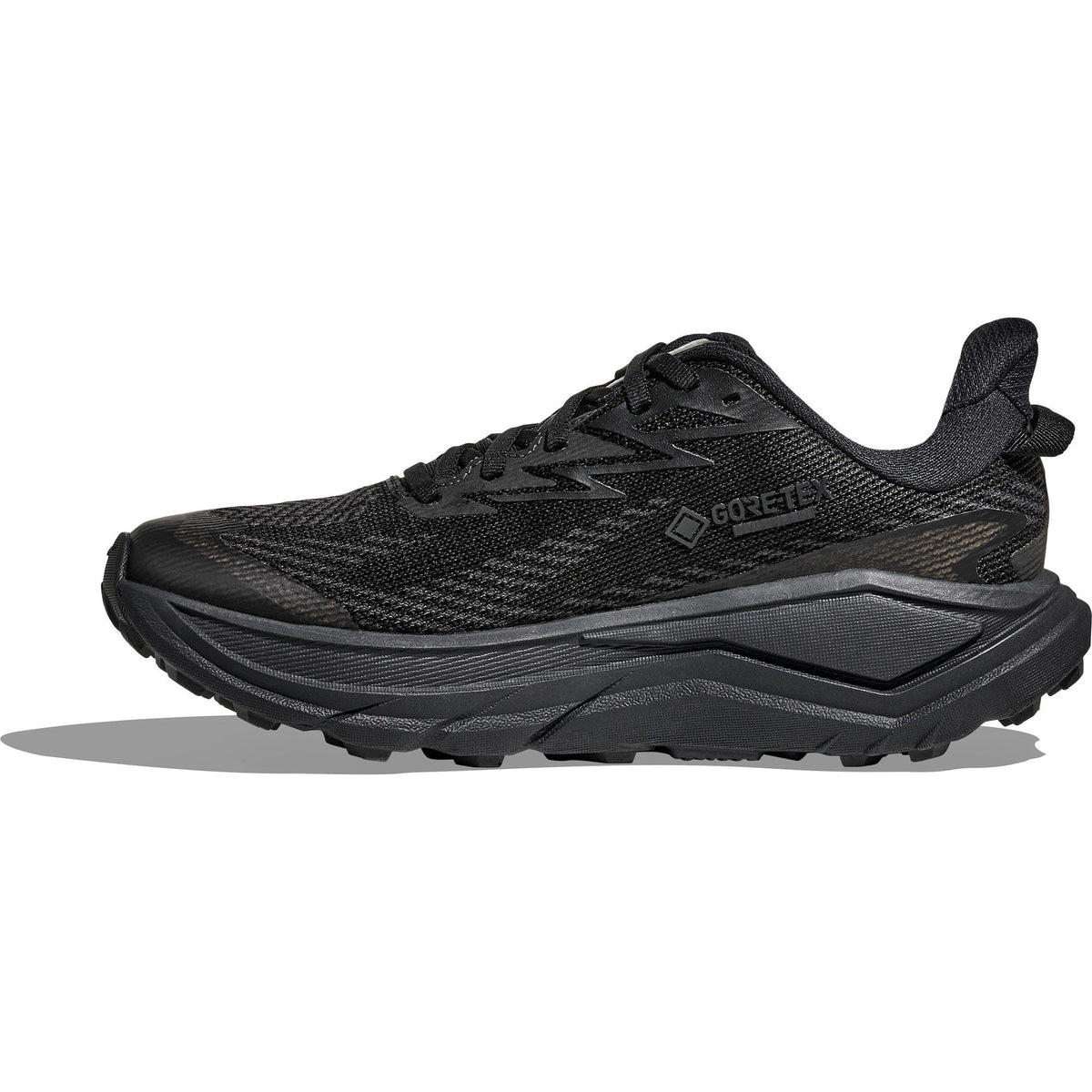 Women's Challenger 8 GTX Trail-Running Shoes - Black/Carbon Black - view 2
